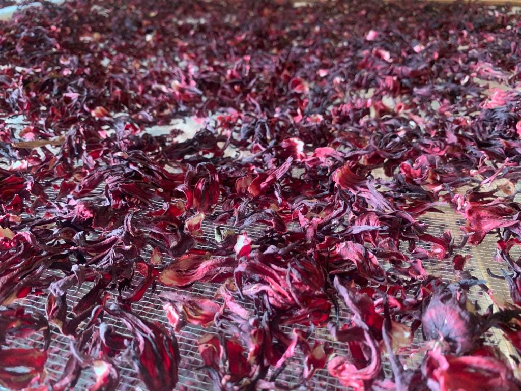 Organic hibiscus (bissap)