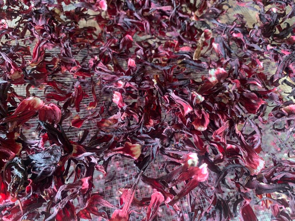 Organic hibiscus (bissap)