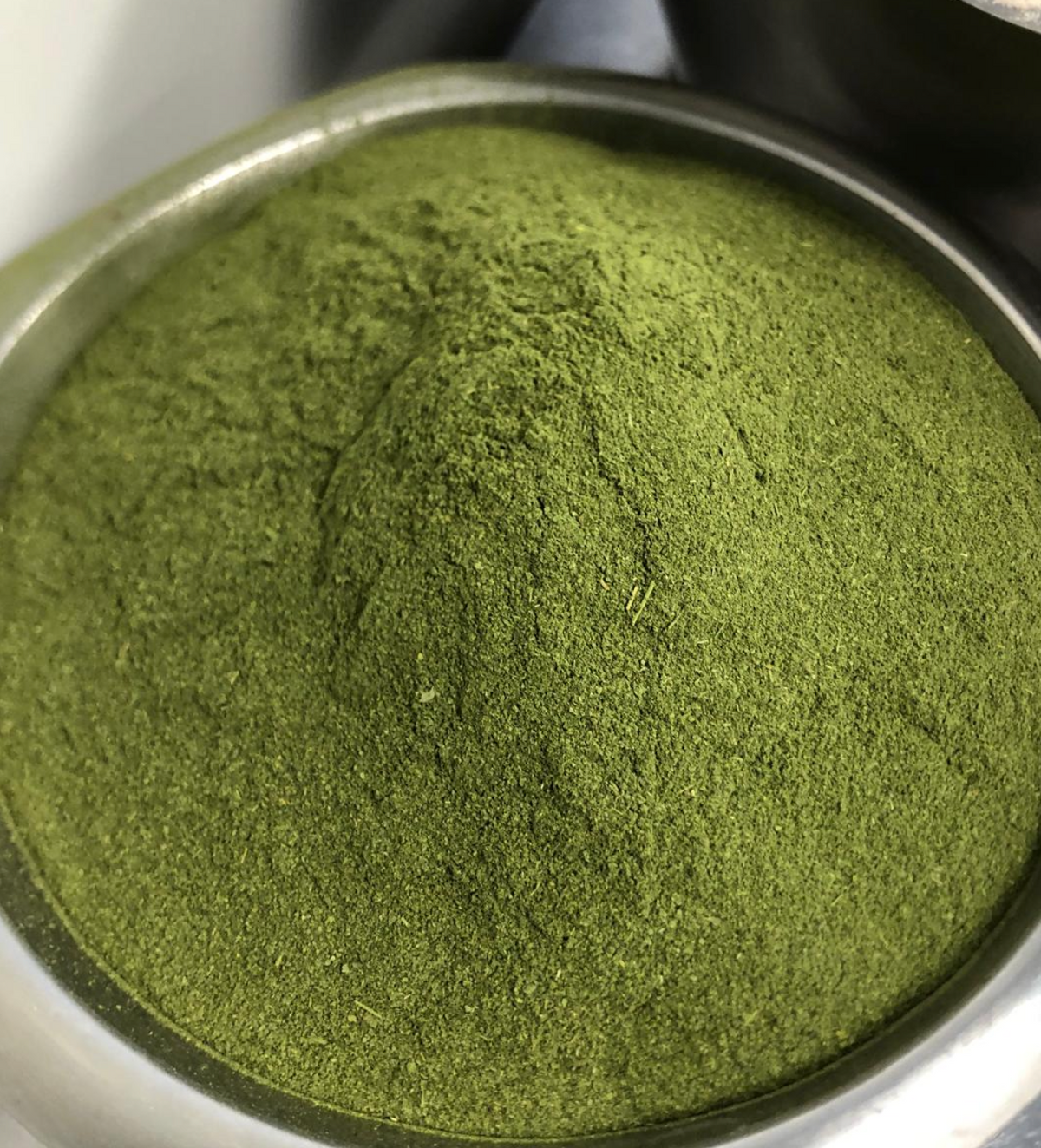 organic moringa powder