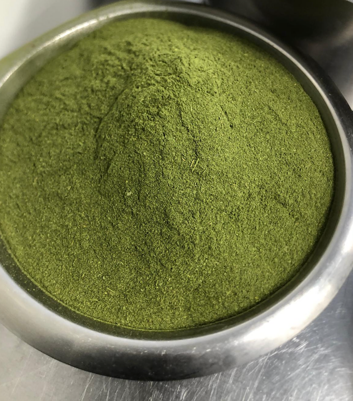 organic moringa oil 100ml