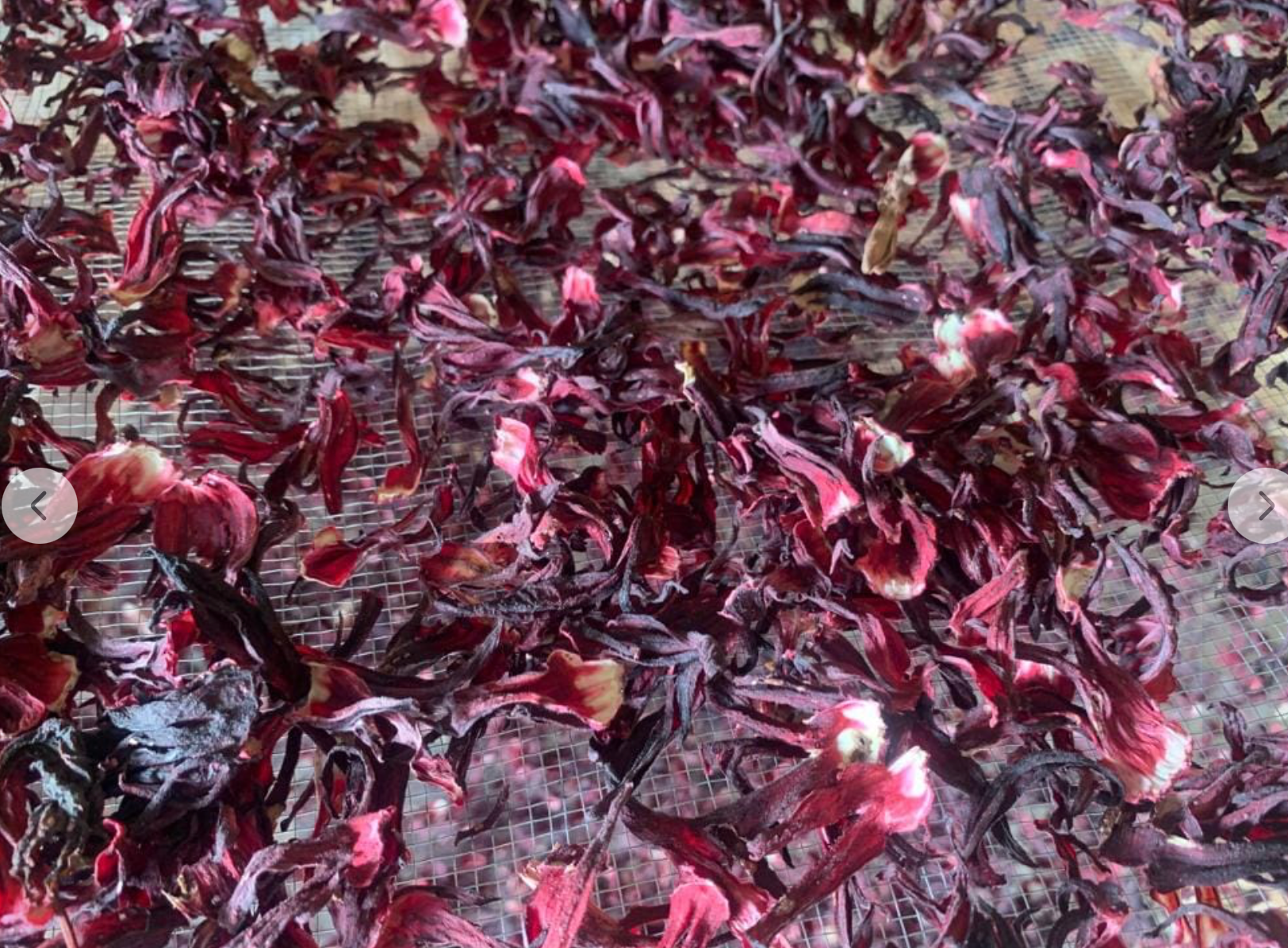 Organic hibiscus (bissap)